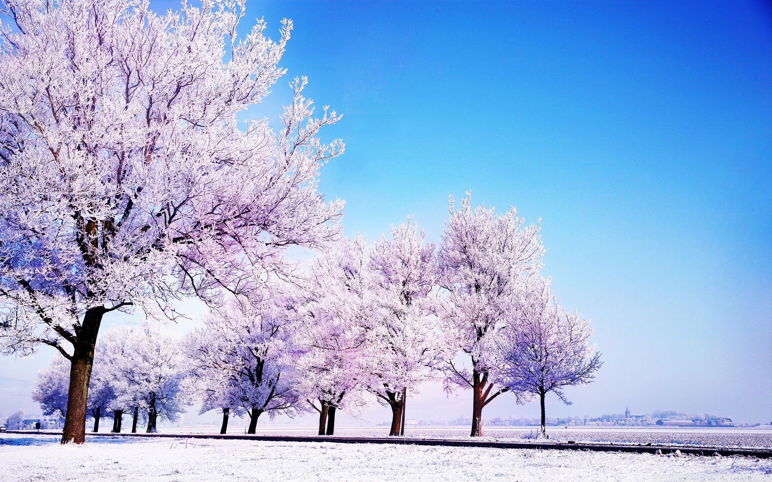 2560x1600 Winter HD Desktop Wallpaper, Desktop