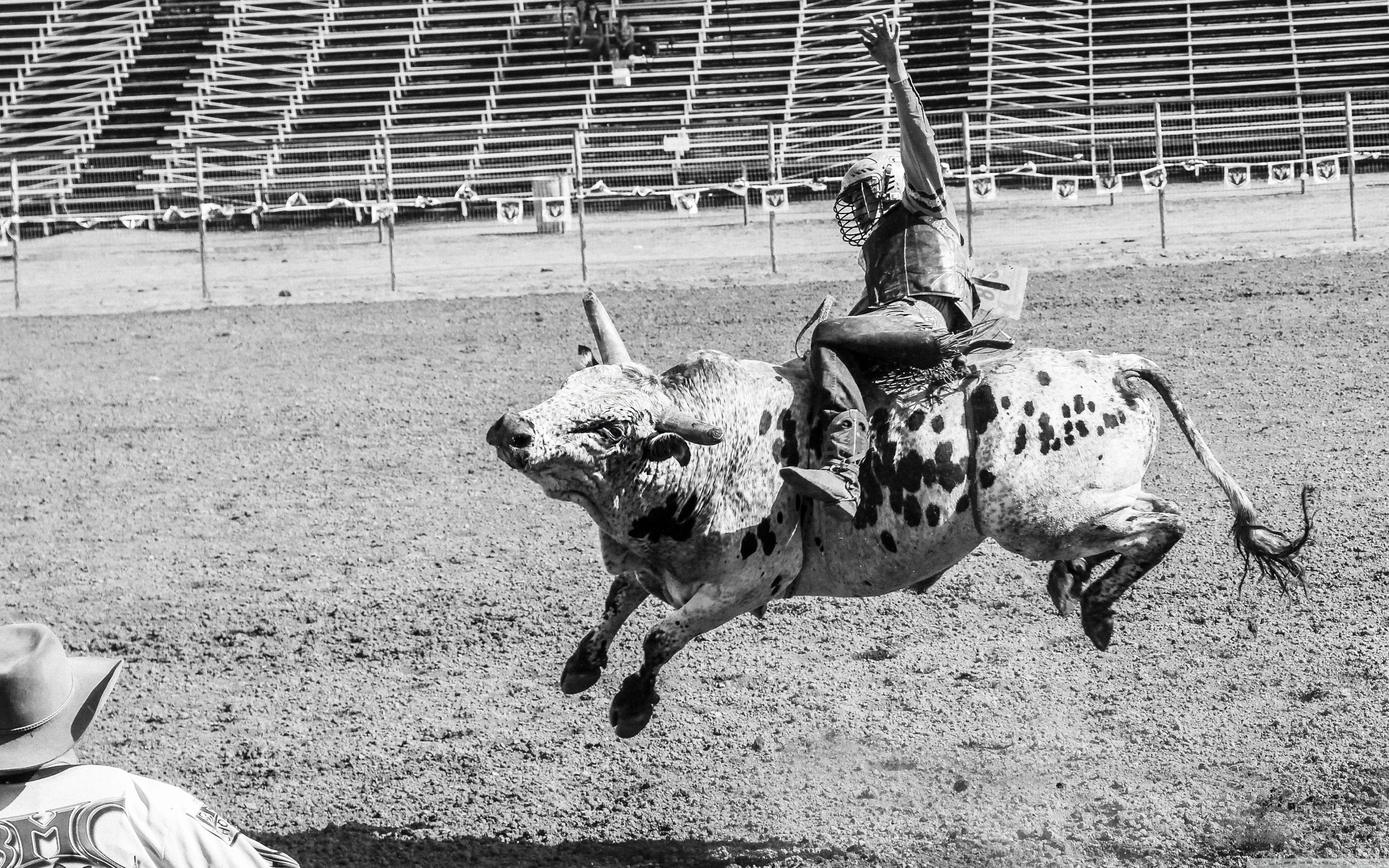 3840x2400 Bull Rider ❤ 4K HD Desktop Wallpaper for 4K Ultra HD TV • Wide, Desktop