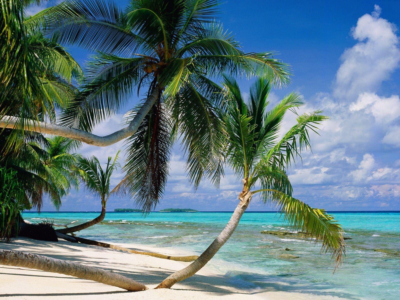 1600x1200 Tepuka Island in Tuvalu. White sands, turquoise water, Desktop