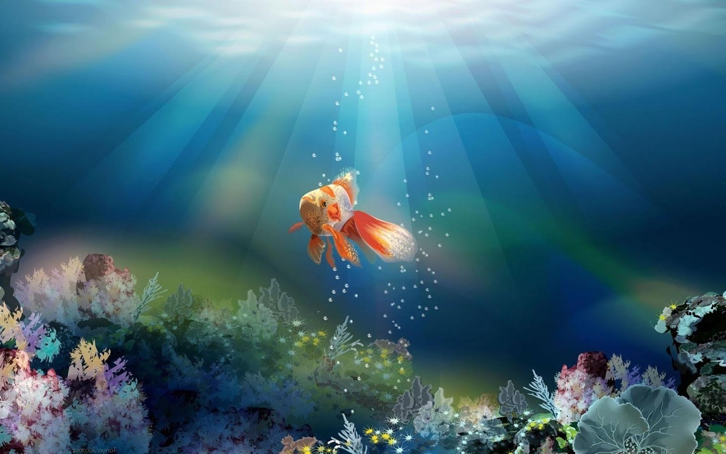 1440x900 Goldfish Wallpaper PC V2C8, Desktop