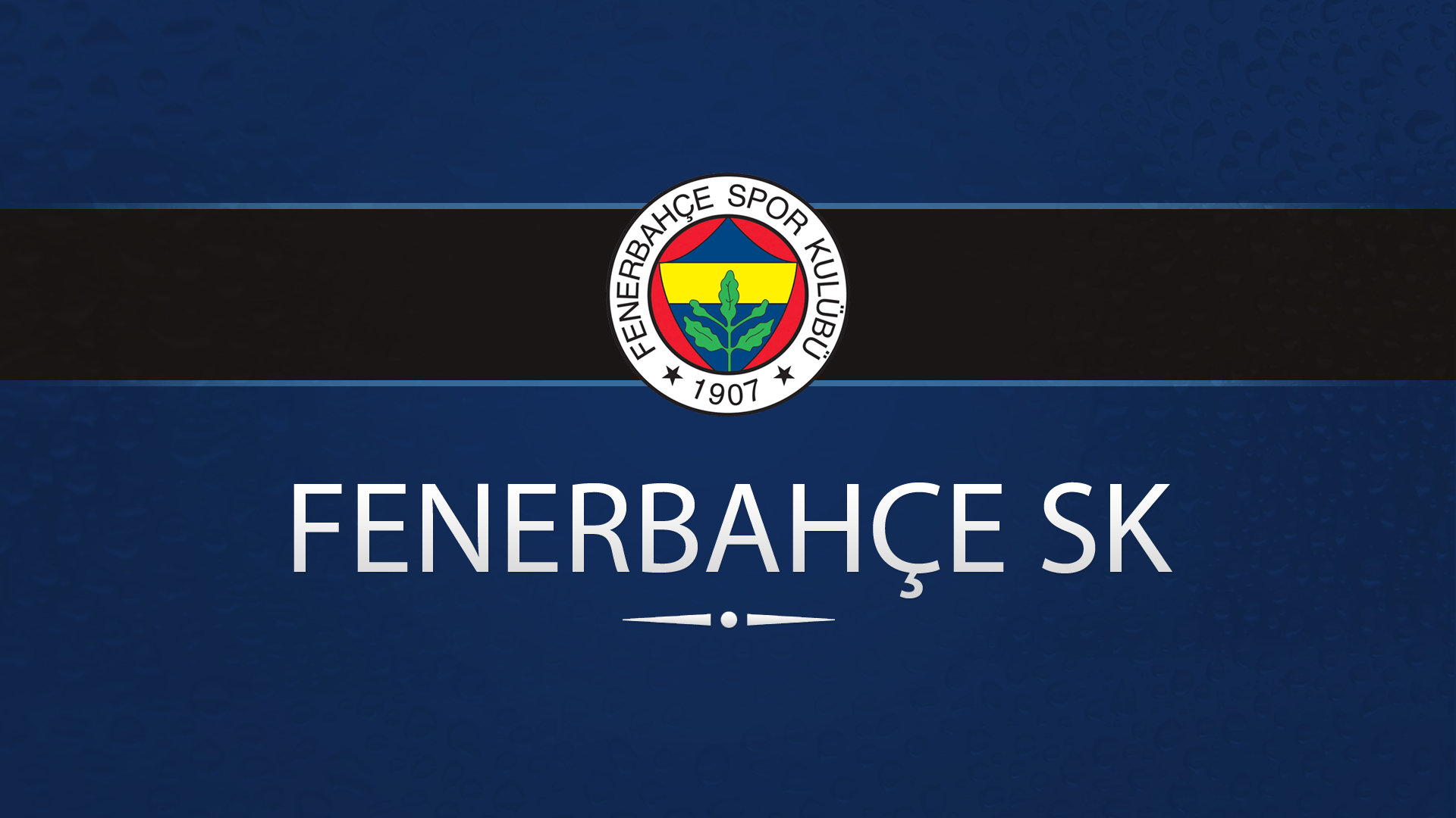 1920x1080 Fenerbahce SK, Desktop