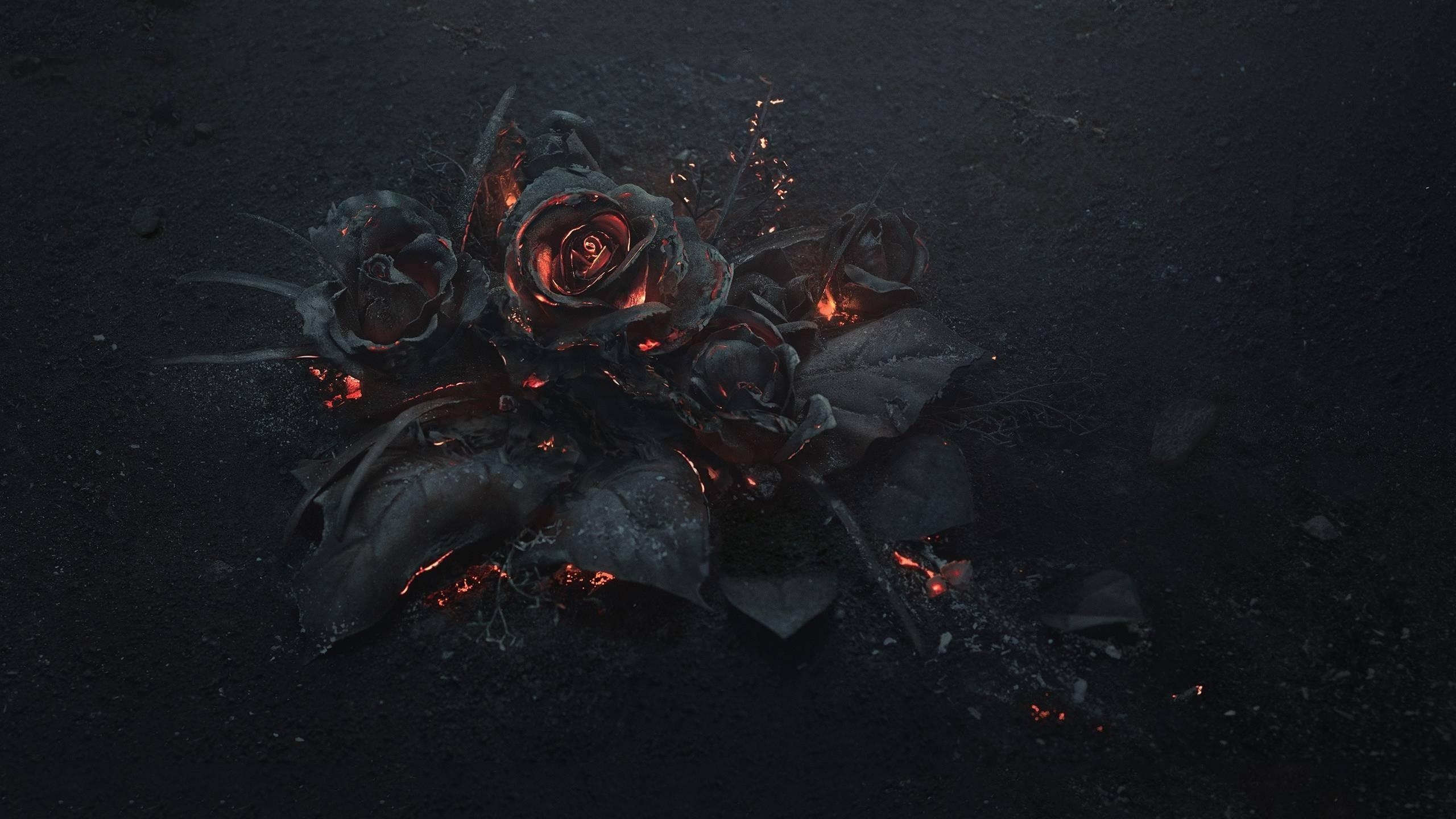 2560x1440 flowers, Rose, Fire, Gothic Wallpaper HD / Desktop and Mobile Background, Desktop