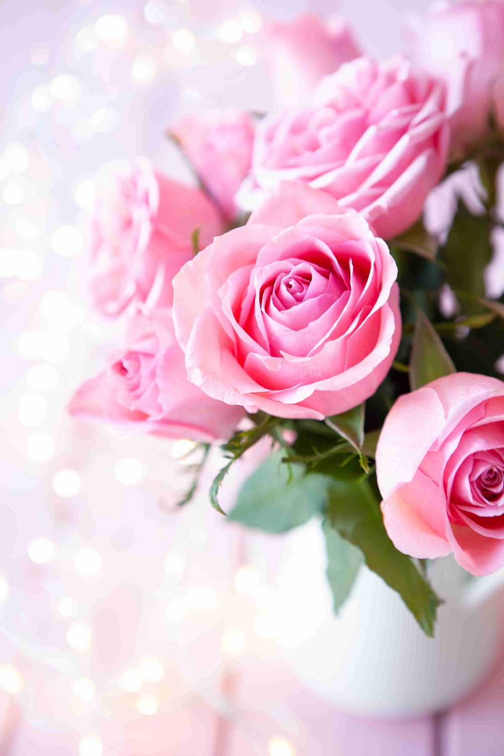 1000x1500 Pink Roses HD Wallpaper Free Pink Roses HD Background, Phone