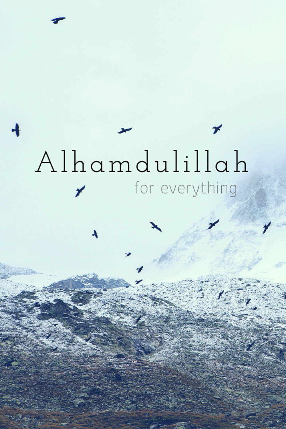 1000x1500 Download Alhamdulillah Birds And Mountains Wallpaper, Phone