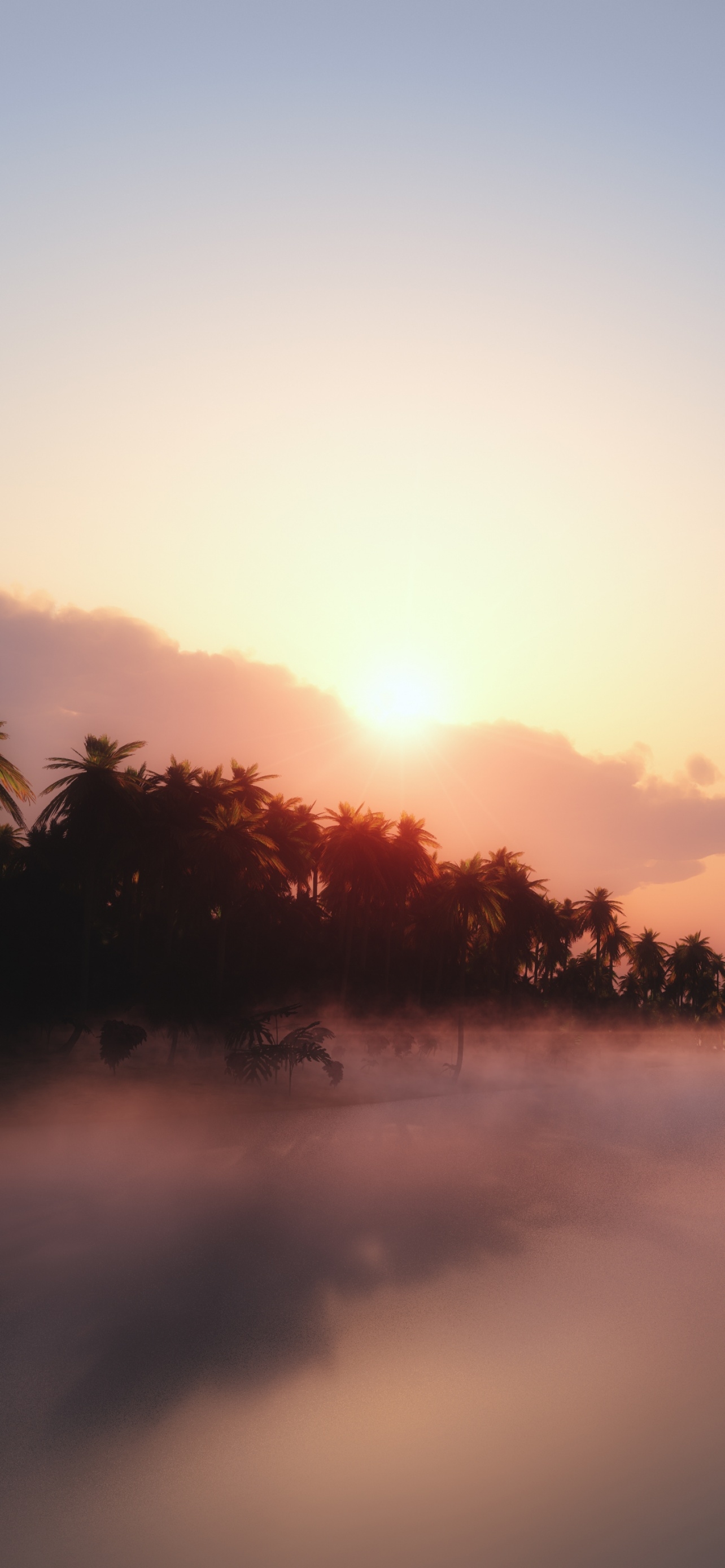 1290x2780 Sunrise Wallpaper 4K, Palm trees, Mist, Foggy, Tropical, Phone