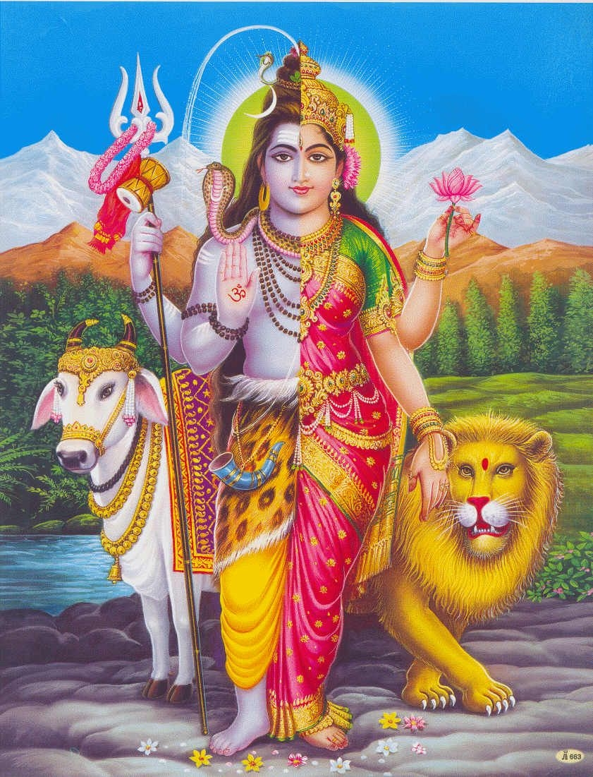 850x1110 ardhnarishwar shiv, Phone