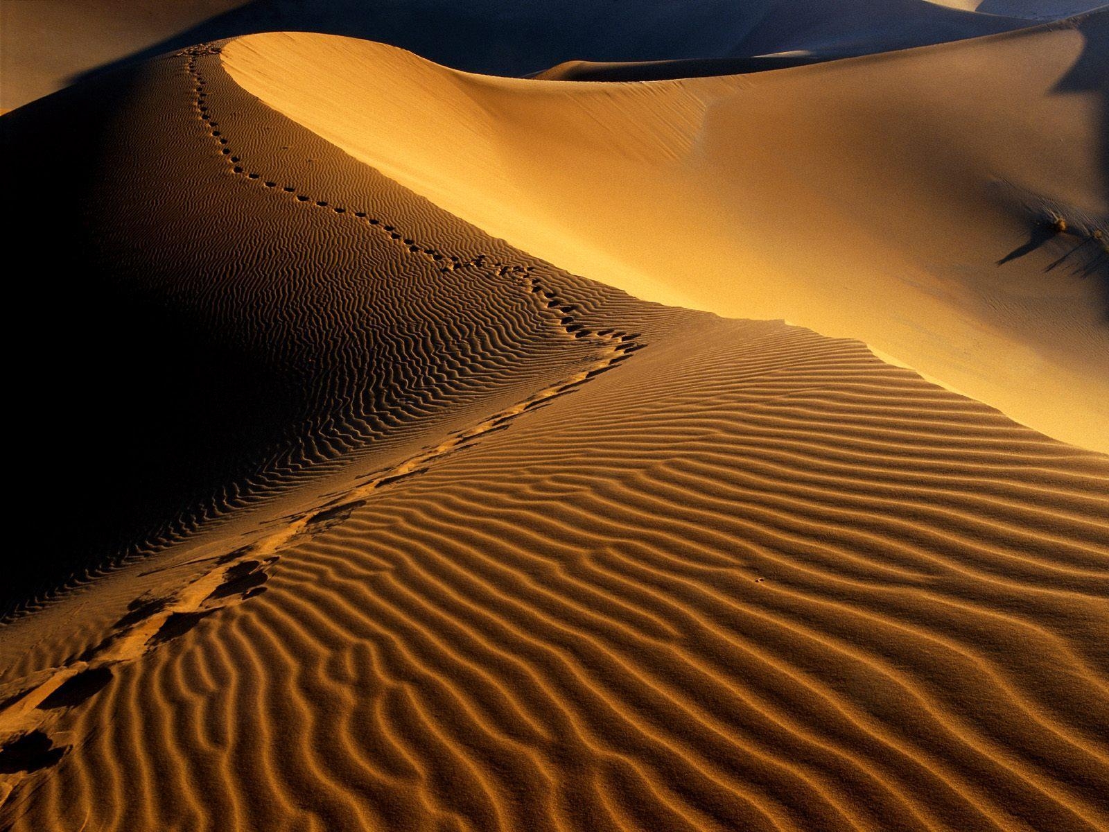 1600x1200 Footprints on sand dunes free desktop background wallpaper, Desktop