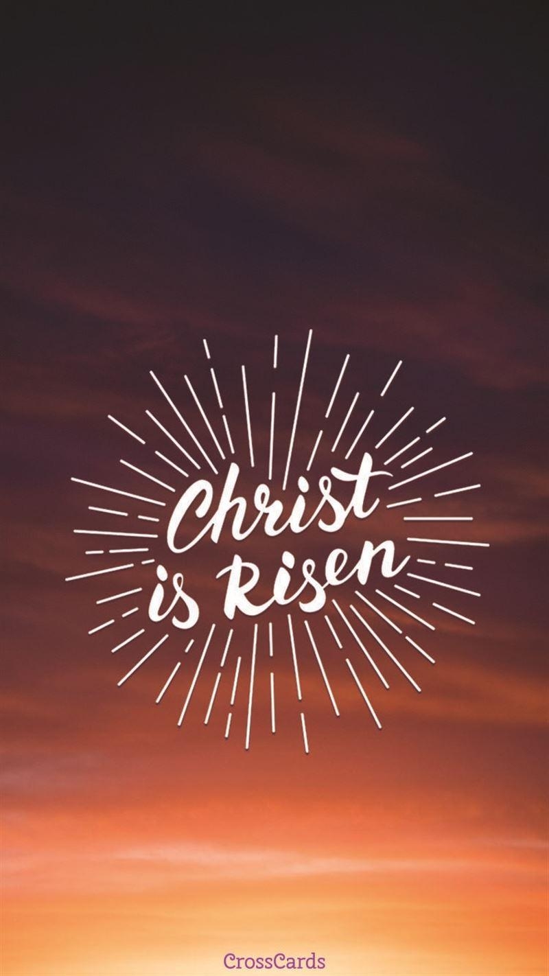 800x1430 Christ is Risen Wallpaper and Mobile Background, Phone