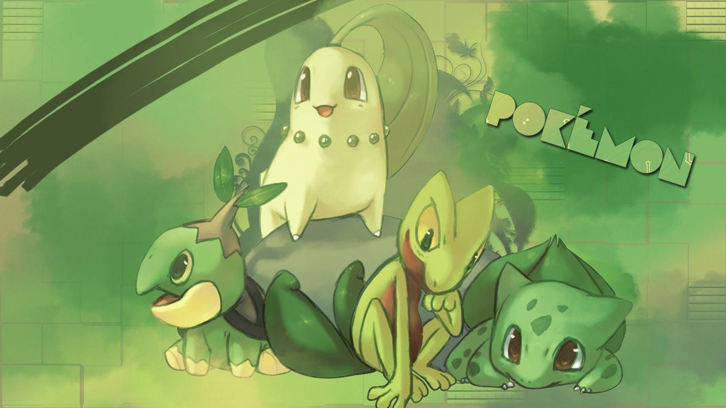 1430x800 Chikorita HD Wallpaper and Background Image, Desktop