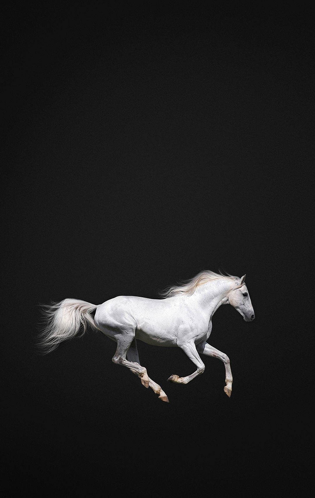 1080x1710 Horses. Horse wallpaper, Horses, iPhone, Phone