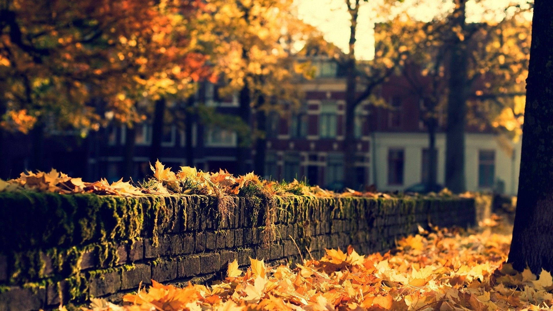 1920x1080 Download Cozy Fall Desktop Wallpaper, Desktop