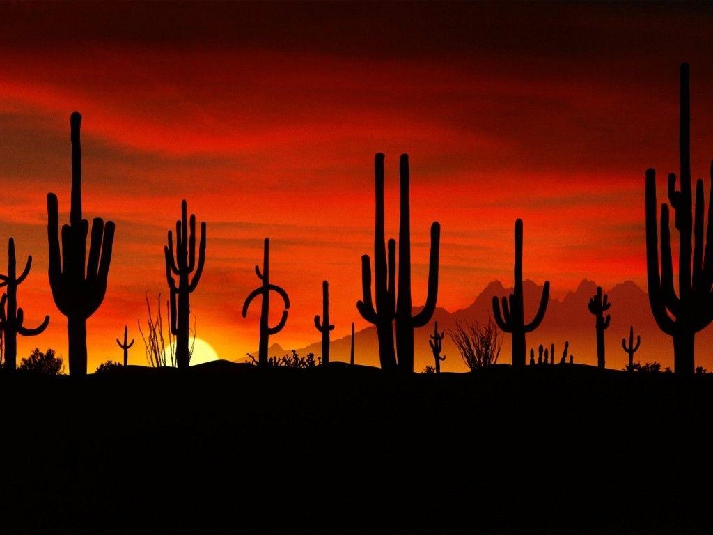 1030x770 Arizona Wallpaper Widescreen, Desktop