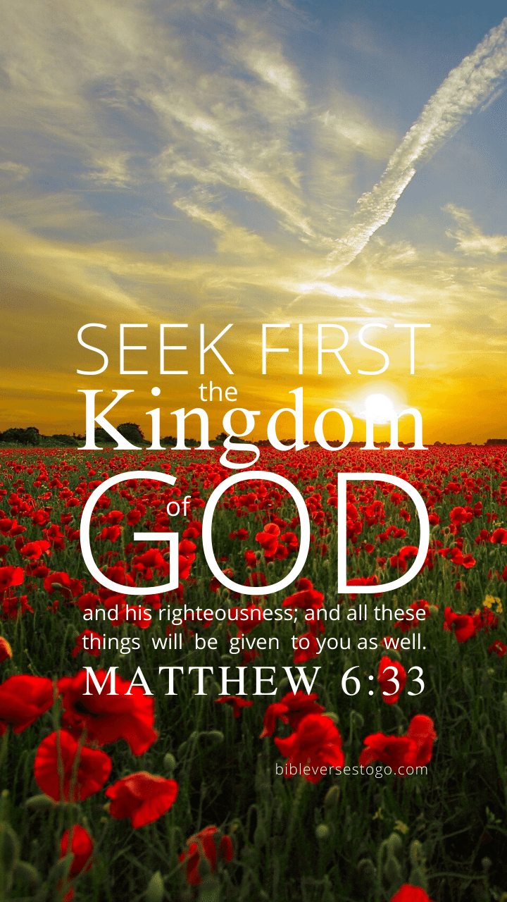 720x1280 Matthew 6:33 Bible Verse Wallpaper Verses To Go, Phone