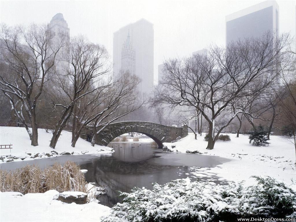 1030x770 Desktop Wallpaper Other Background Central Park in Winter, New York City, New York, Desktop