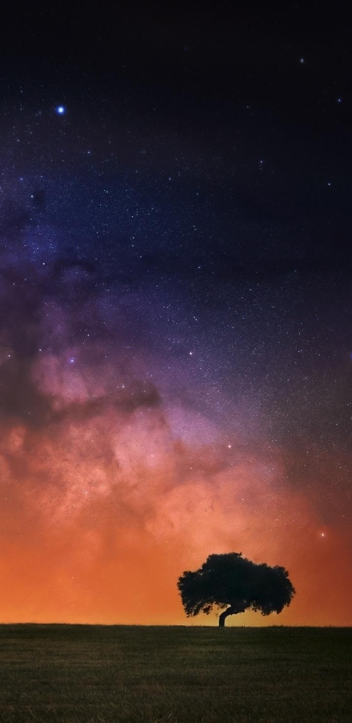 720x1480 Starry Sky In Open Field  Resolution Wallpaper, HD, Phone