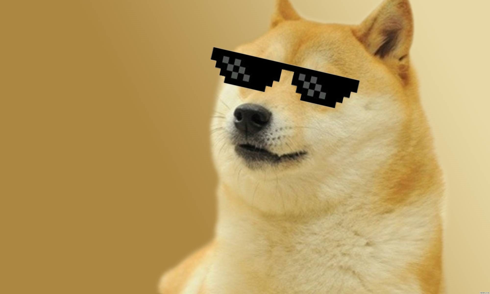 2000x1200 Doge Meme Wallpaper. Doge meme, Doge, Cute, Desktop