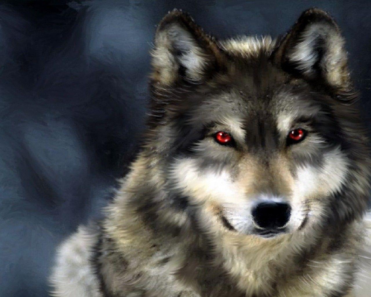 1280x1030 Wolf Computer Wallpaper, Desktop Background  Id: 326398, Desktop