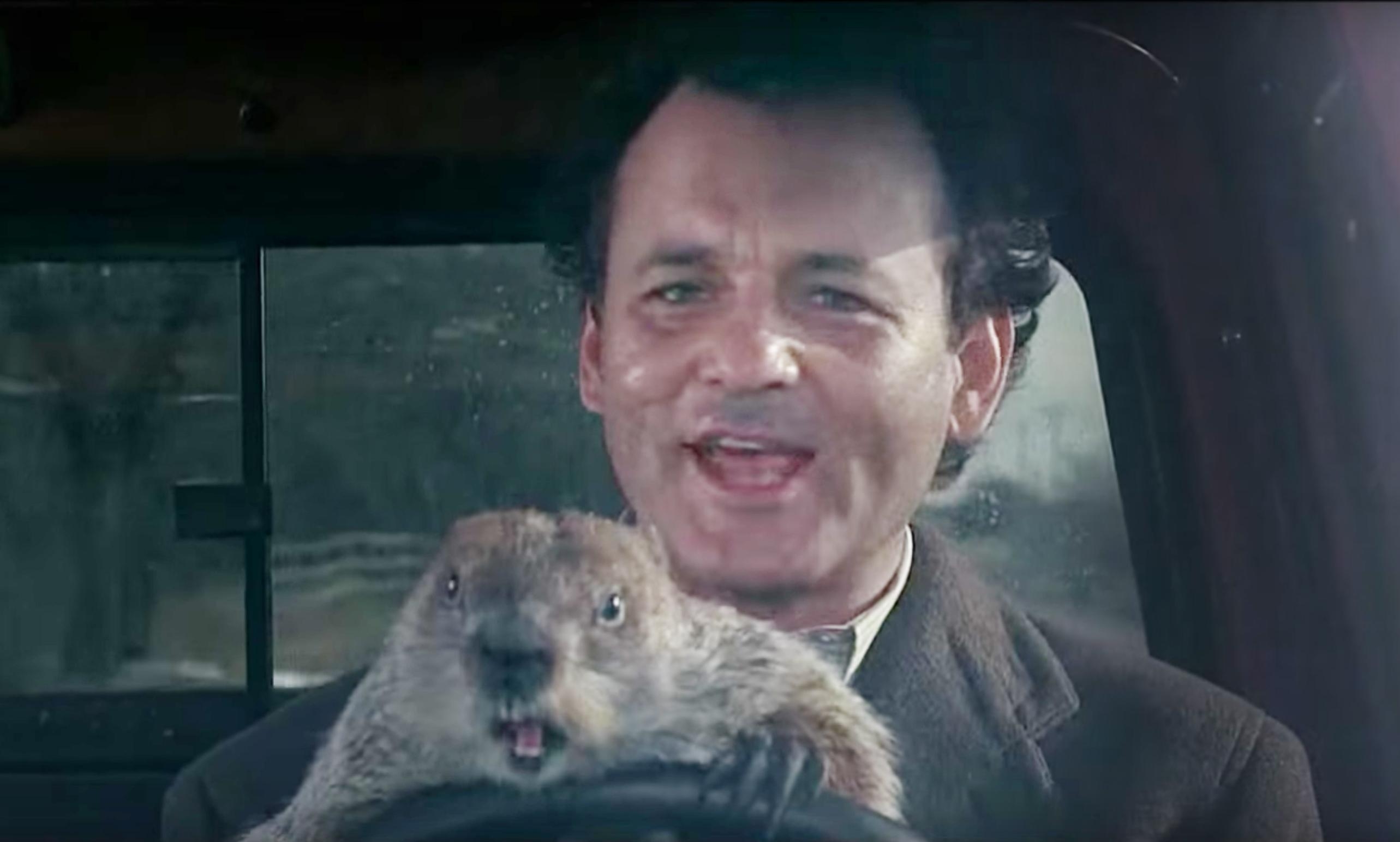 2570x1550 Groundhog Day Wallpaper High Quality, Desktop