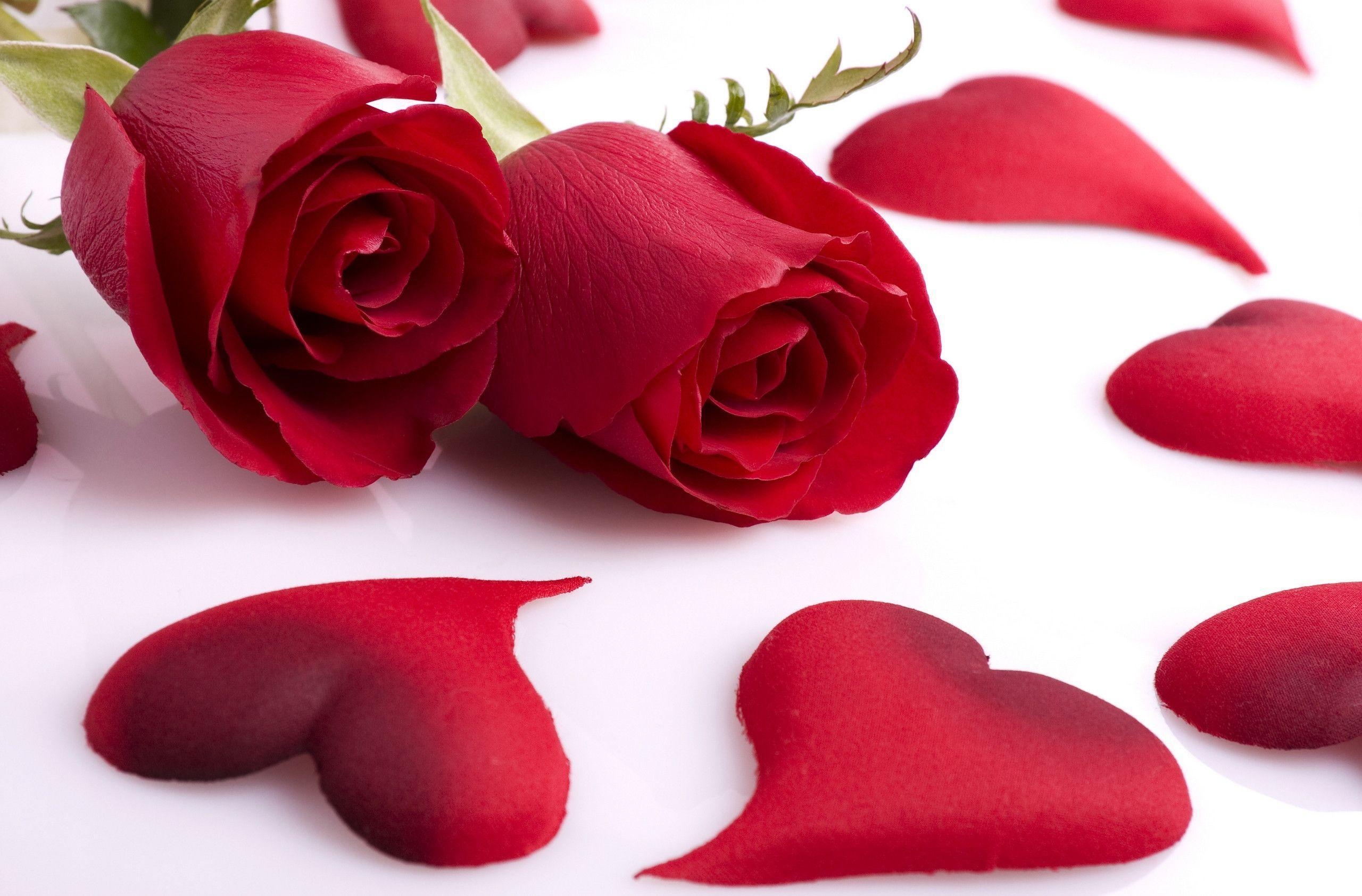 2560x1690 Red Rose Love Heart Shaped Petal HD Wallpaper. TanukinoSippo, Desktop