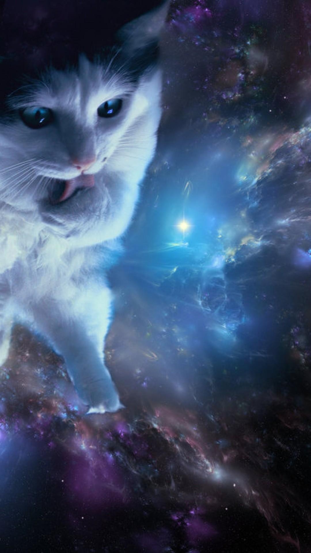 1080x1920 Space Cat Wallpaper, Phone