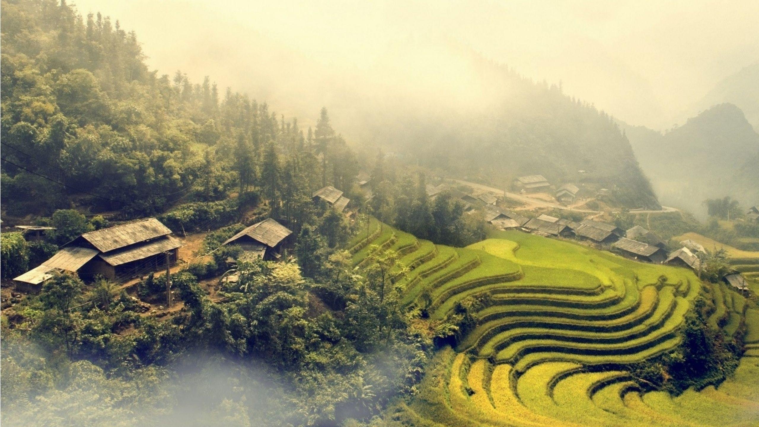 2560x1440 Vietnam At Foggy desktop PC and Mac wallpaper, Desktop