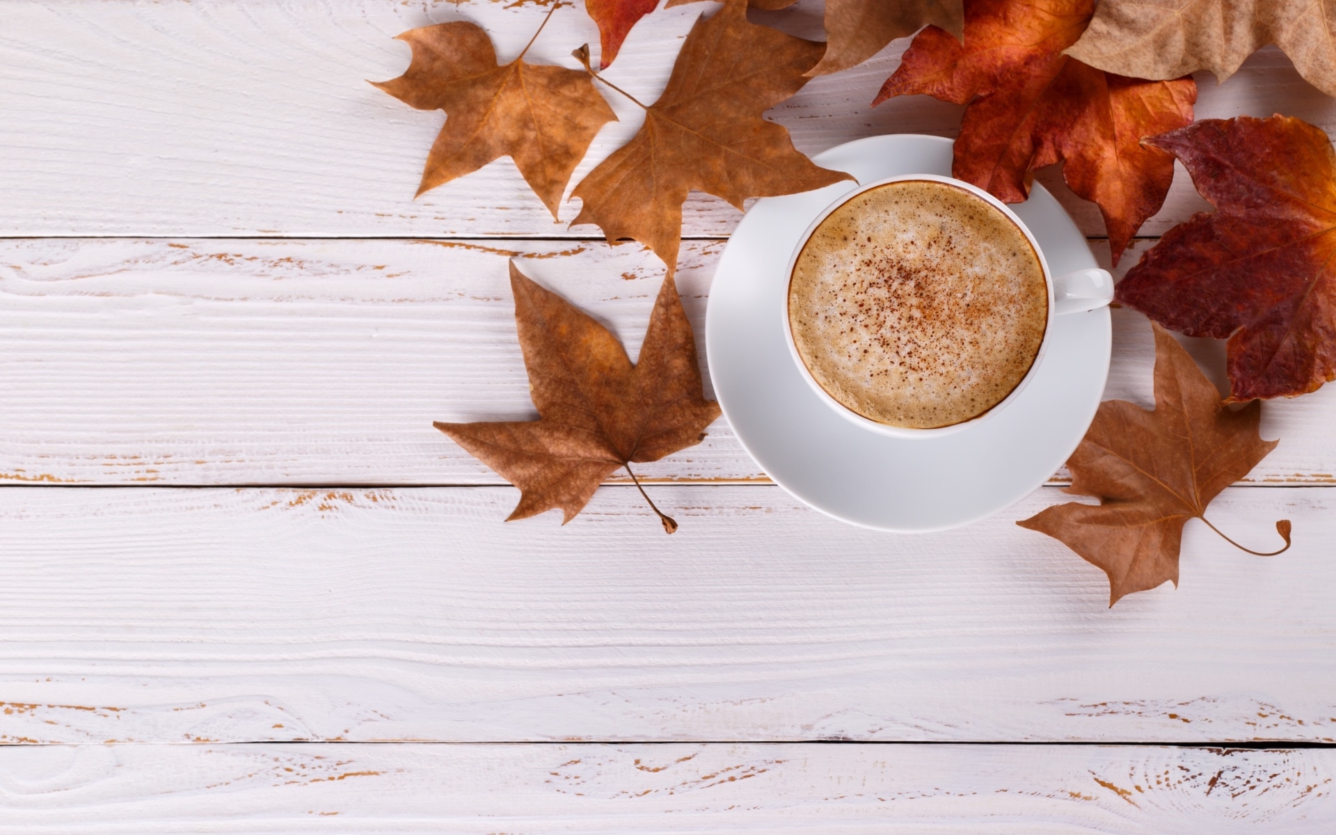 1920x1200 Cozy autumn morning with a cup of hot coffee Wallpaper for Widescreen Desktop PC 1920x1080 Full HD, Desktop