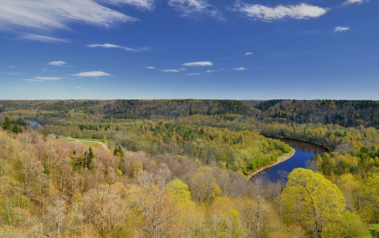 1280x810 Spring Forest Sigulda Latvia wallpaper. Spring Forest Sigulda, Desktop