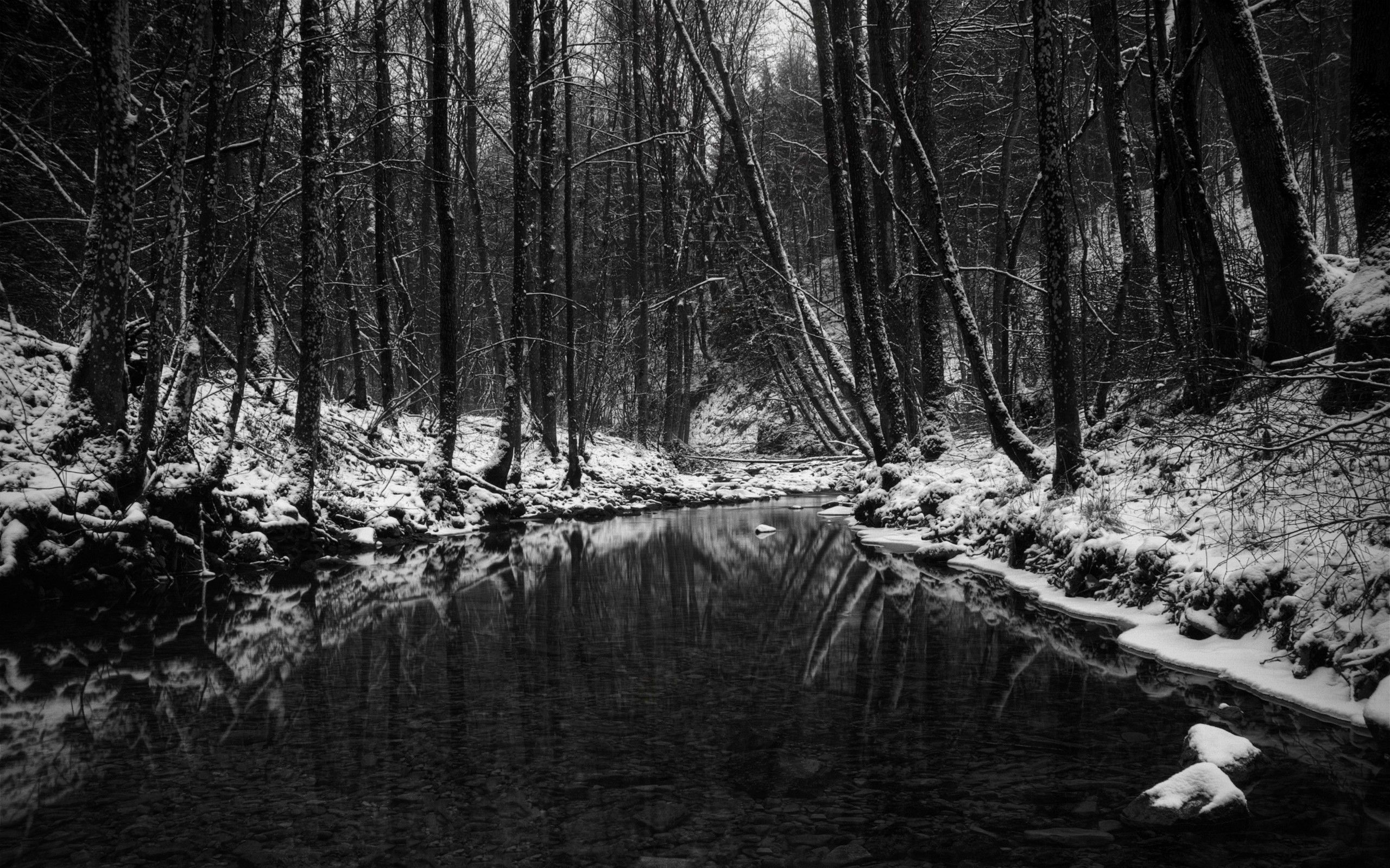 2560x1600 Black and White Snow Wallpaper, Desktop