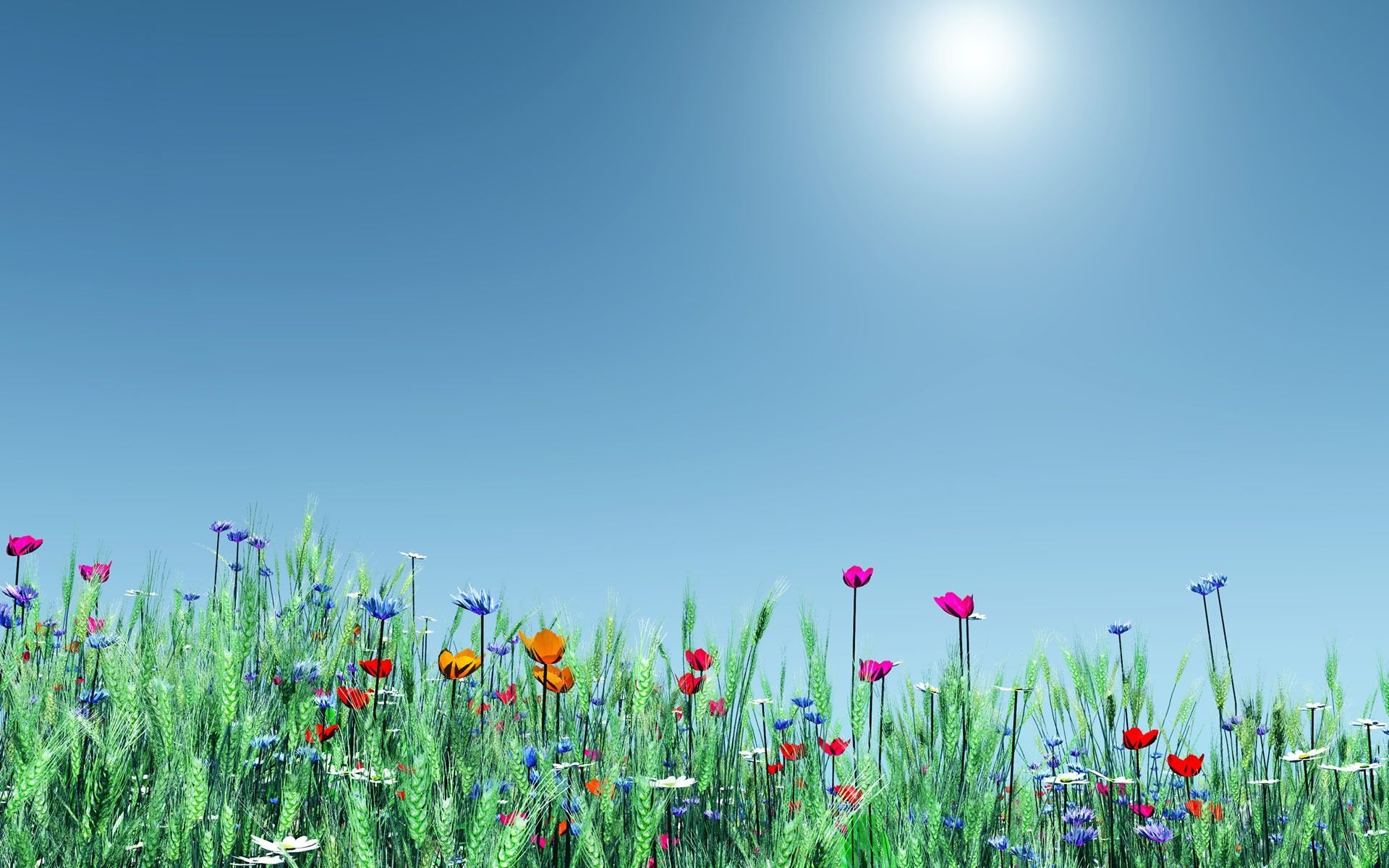 1920x1200 Spring Flowers Wallpaper Widescreen. Spring flowers wallpaper, Desktop