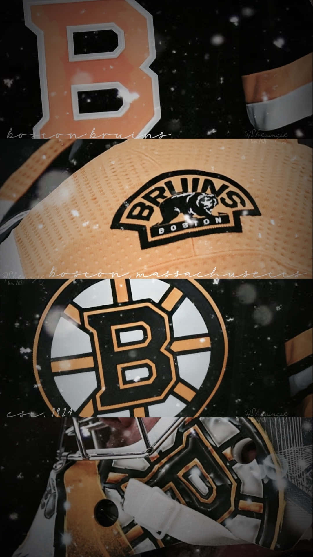 1080x1920 Download The Boston Bruins bring years of success to the ice, Phone