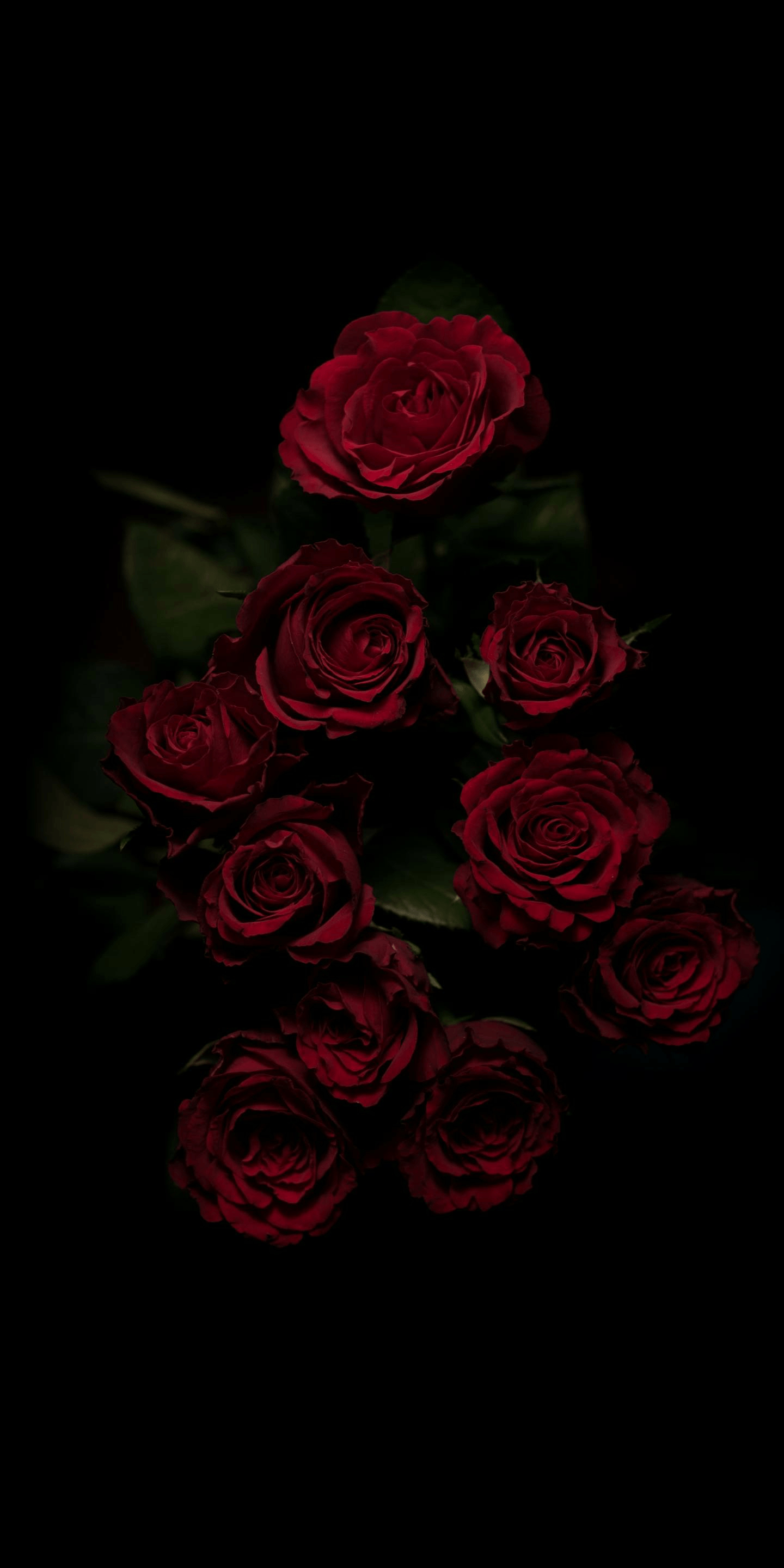 1440x2880 Baddie Dark Aesthetic Flower Wallpaper, Phone