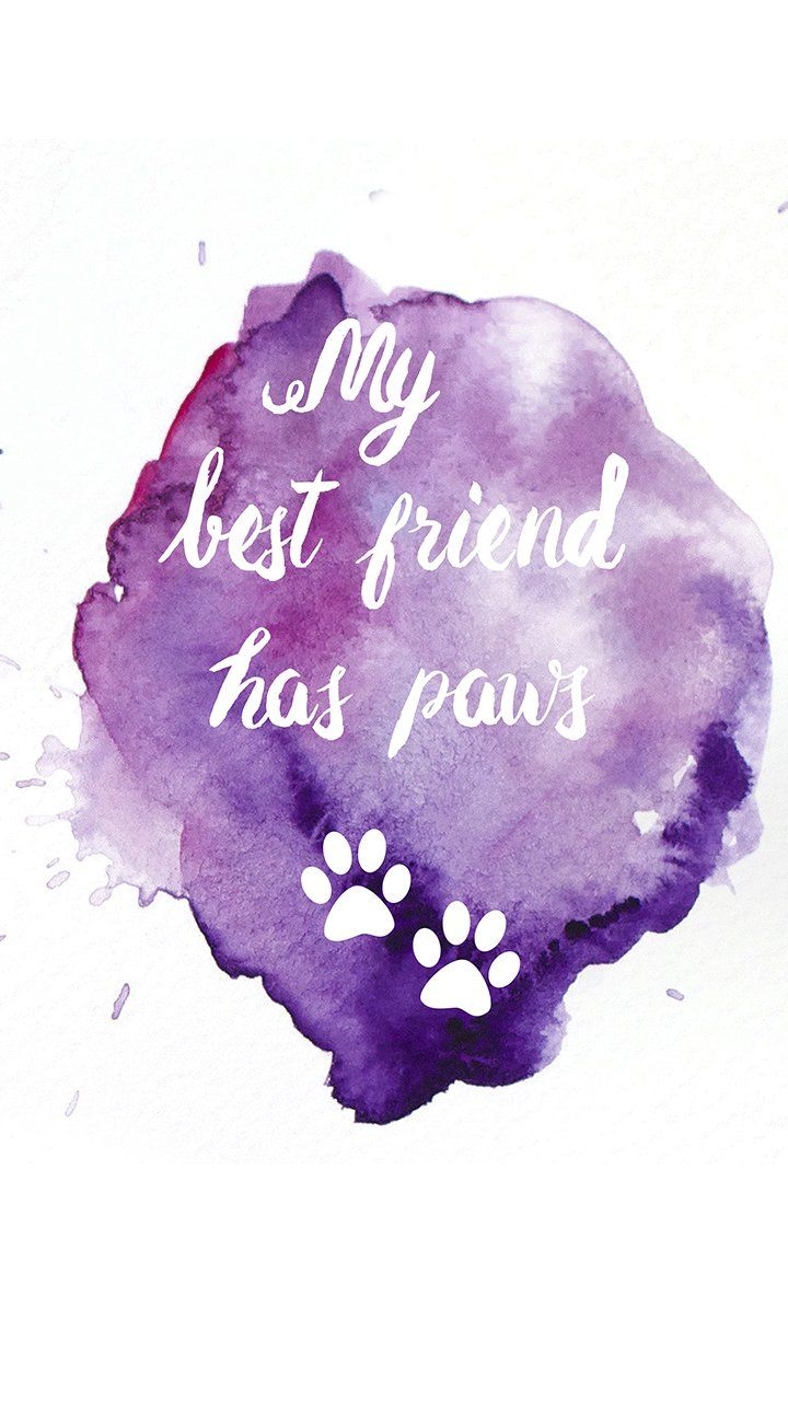 720x1280 Free download best friend has paws phone wallpaper by choosing your best resolution [] for your Desktop, Mobile & Tablet. Explore Best Friend Wallpaper for Phones. Best Friends Wallpaper, Phone