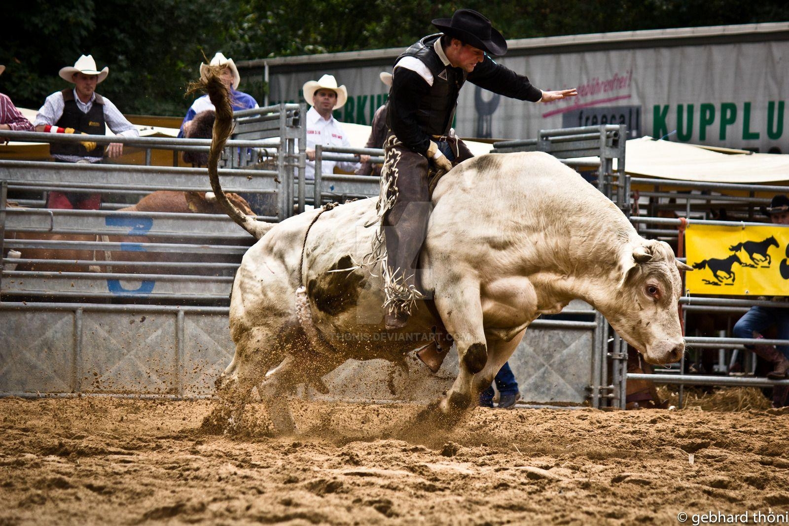 1600x1070 Bull Riding, Desktop