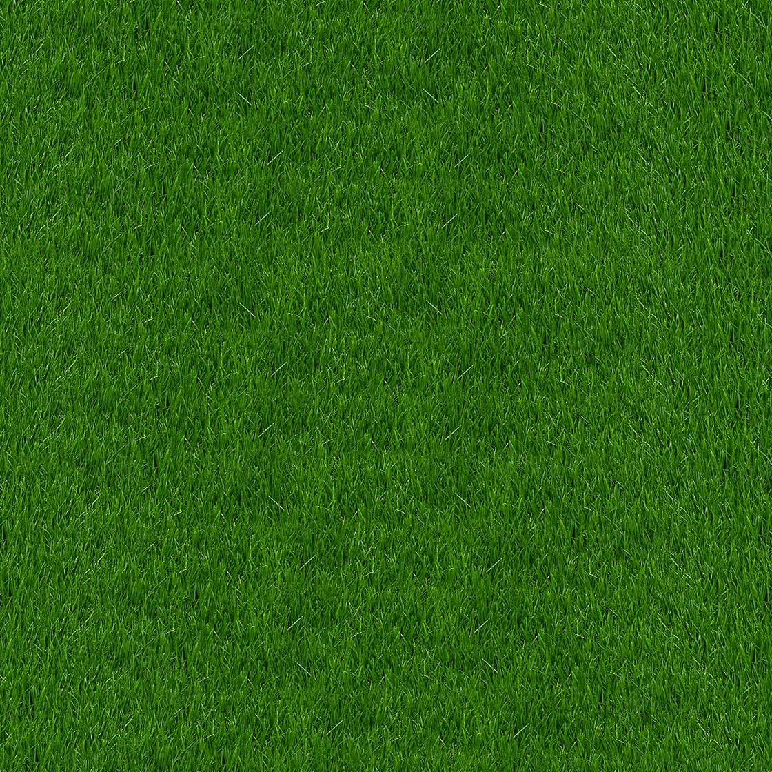 1120x1120 Grass texture free image, Phone