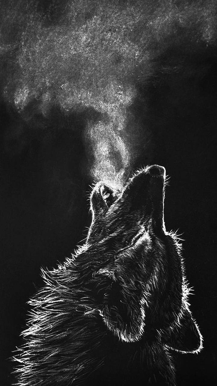 720x1280 Black Wolf Wallpaper Free Black Wolf Background, Phone