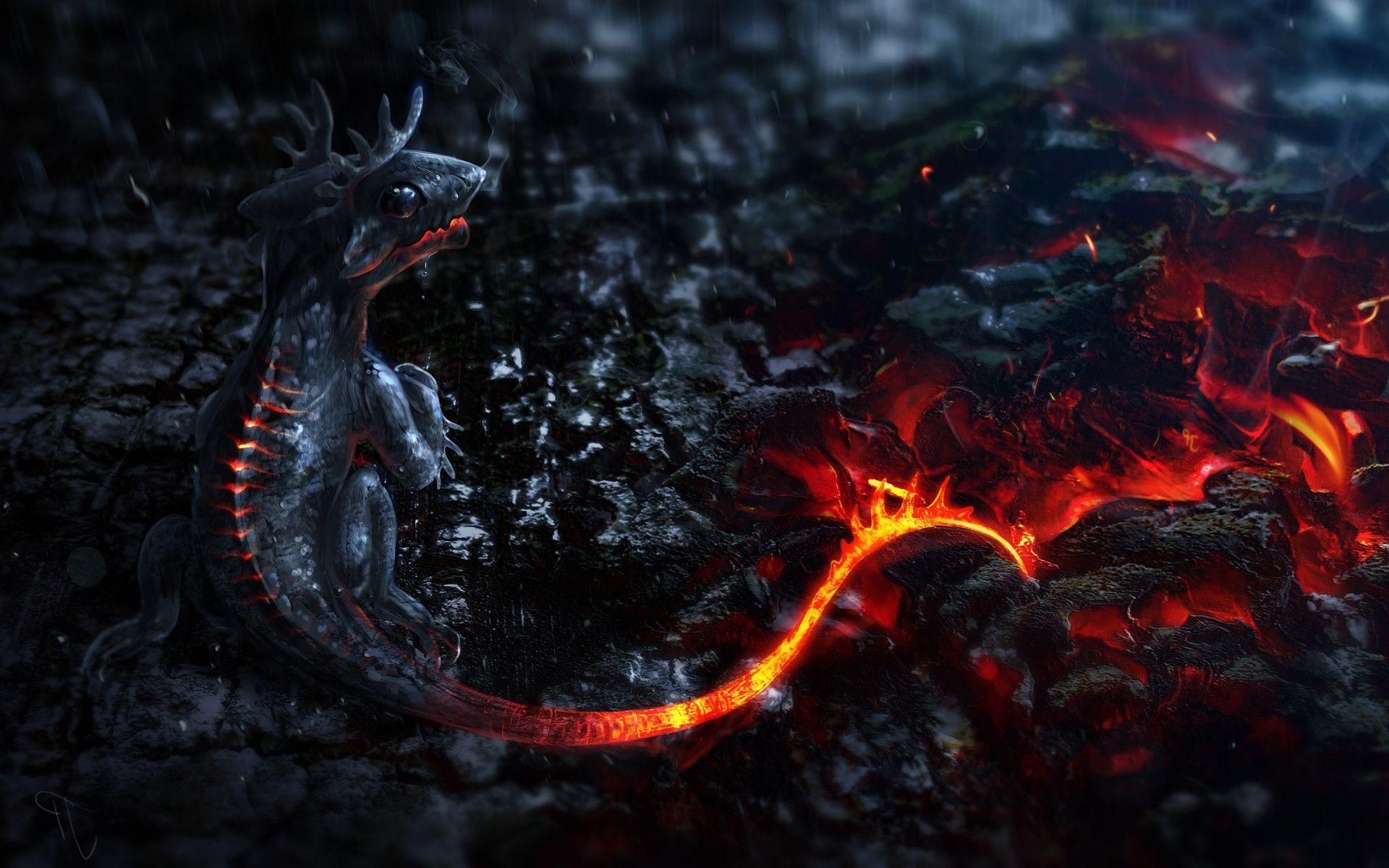 1920x1200 Salamander HD Wallpaper, Desktop