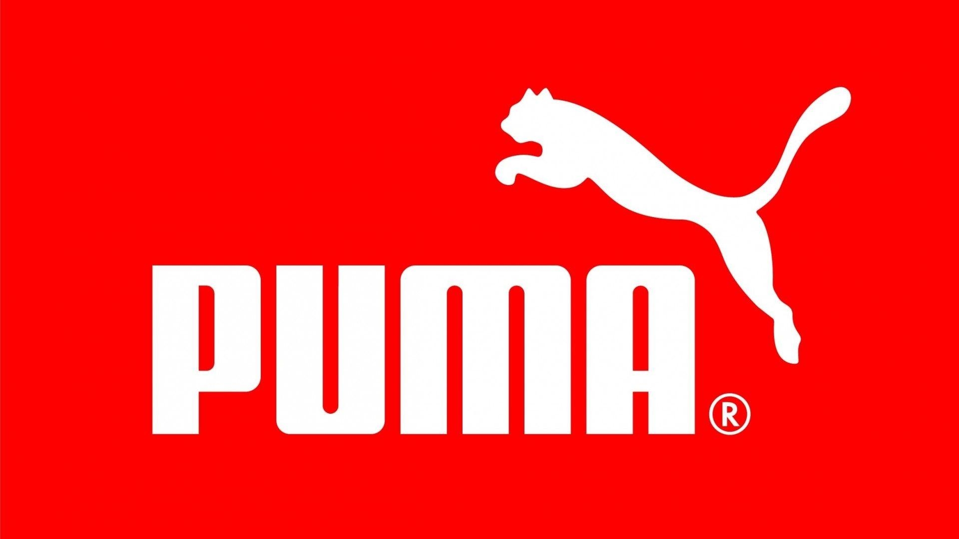 1920x1080 Puma Wallpaper 16477  px, Desktop