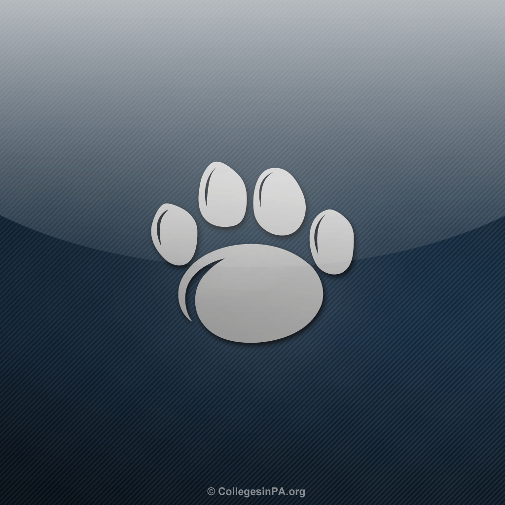 1030x1030 Free Penn State Football Wallpaper, Phone