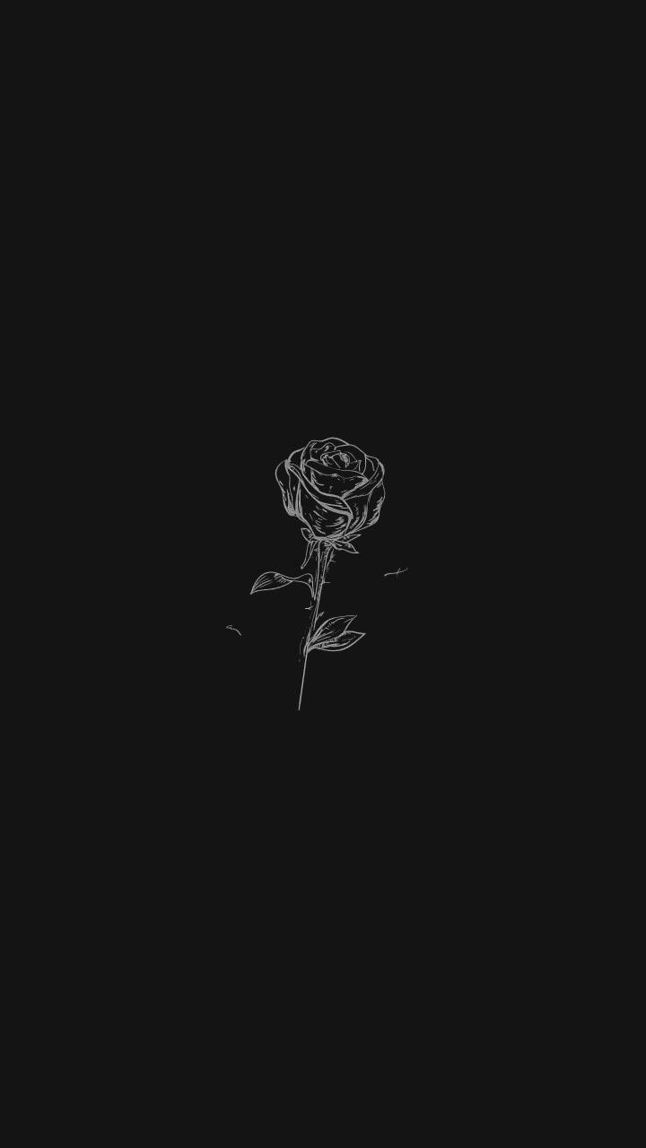 720x1280 Black And White Aesthetic Roses Wallpaper, Phone