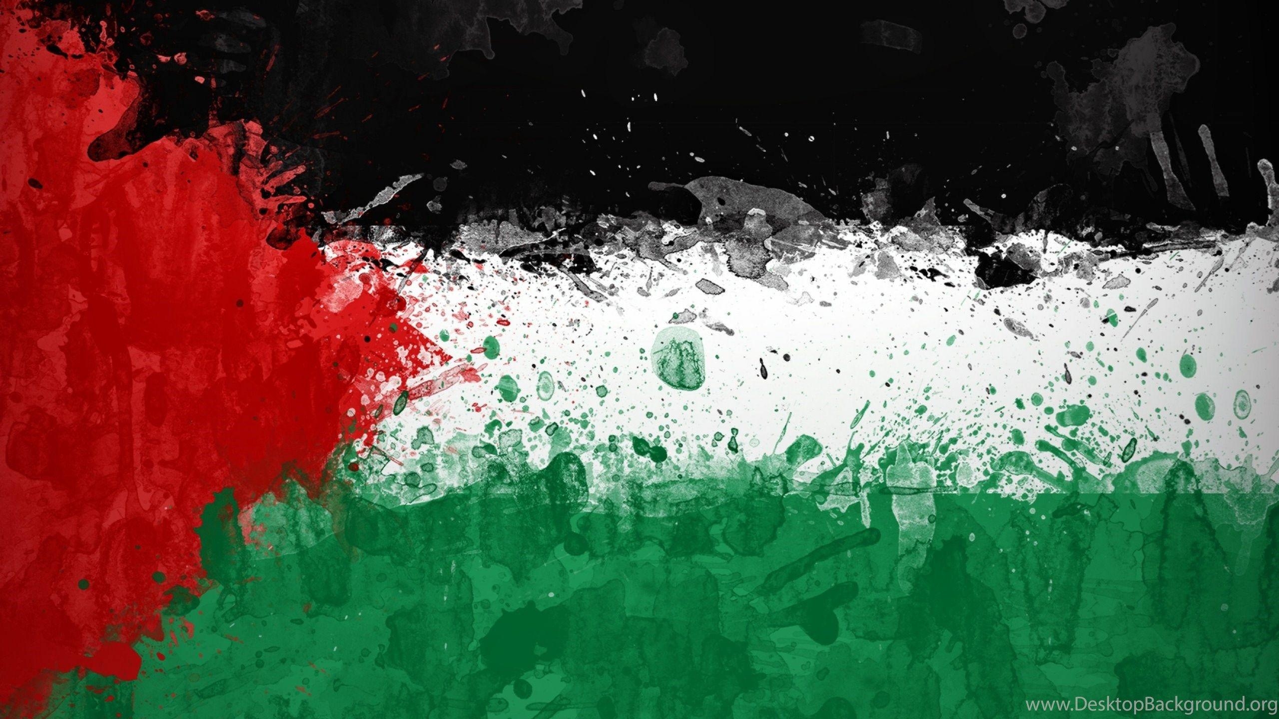 2560x1440 Download Wallpaper 2560x1600 Palestine, Background, Texture, Desktop