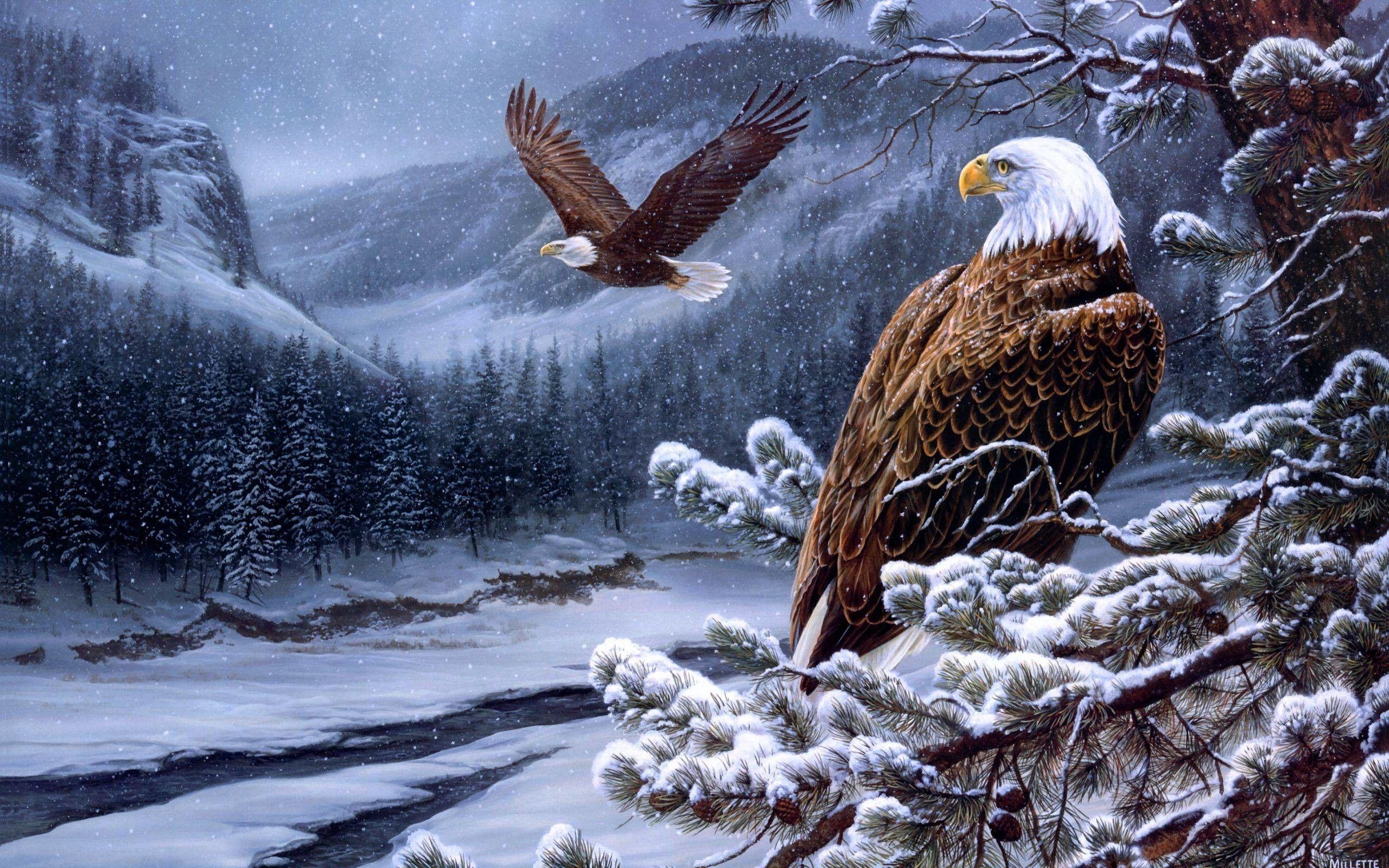 2560x1600 Bald Eagle Wallpaper, Desktop