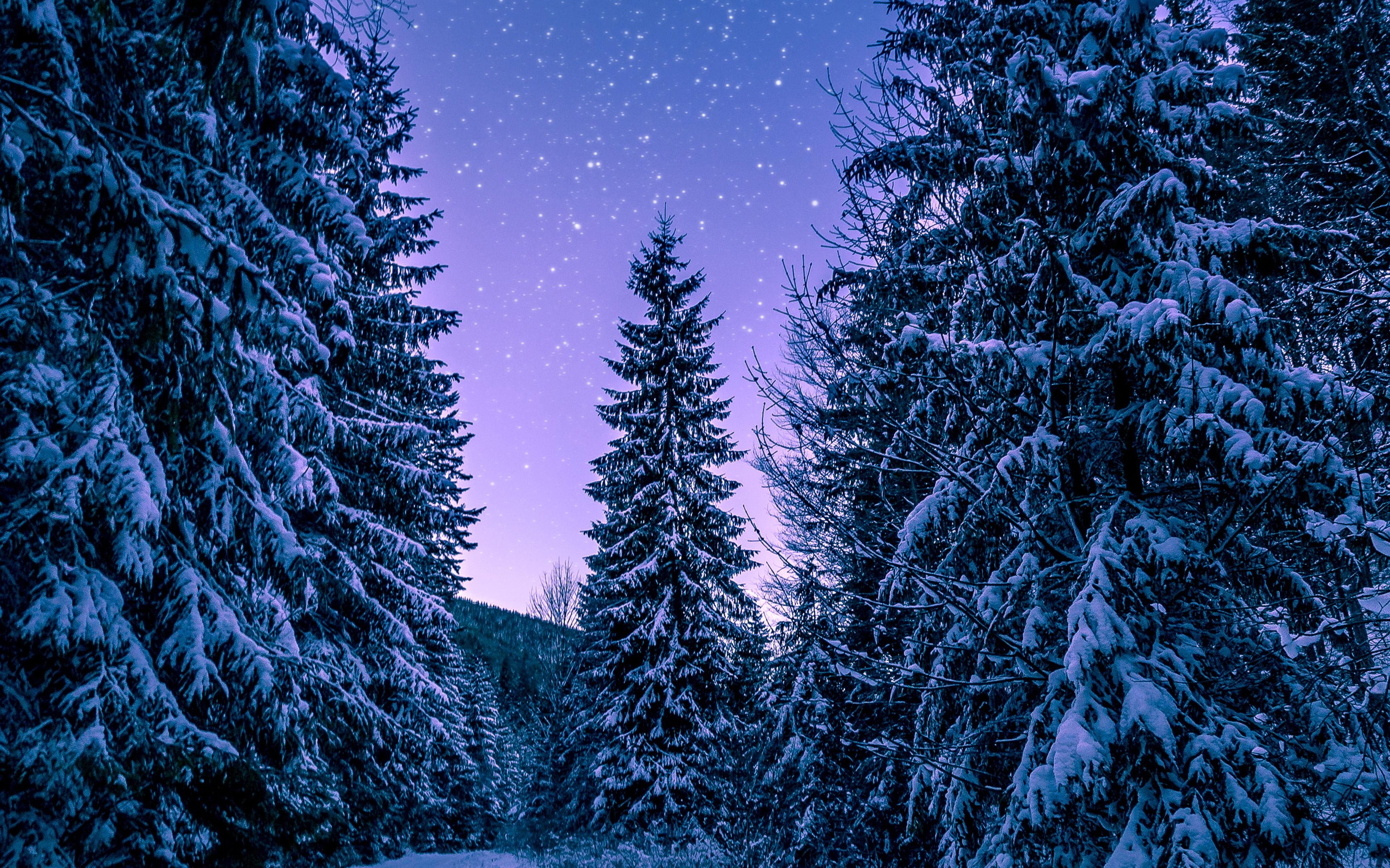 3840x2400 4K Winter wallpaper for iPhone, iPad, or MacBook, Desktop