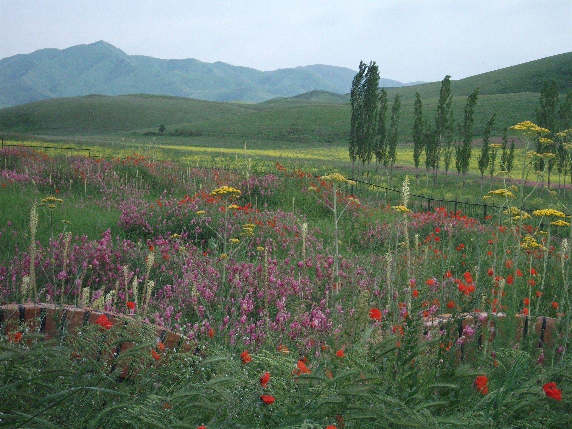 1920x1440 The beauty of the steppes of Kazakhstan. Android wallpaper for free, Desktop