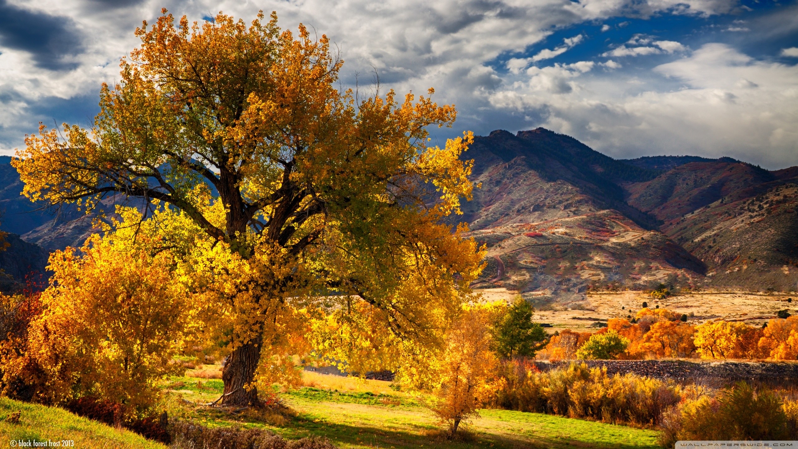 2560x1440 Autumn Scenery Wallpaper, Desktop