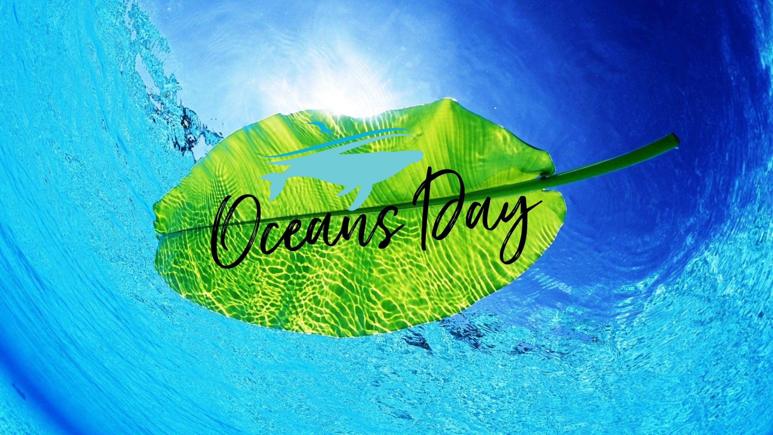 2560x1440 Happy World Oceans Day Leaf HD Wallpaper, Desktop