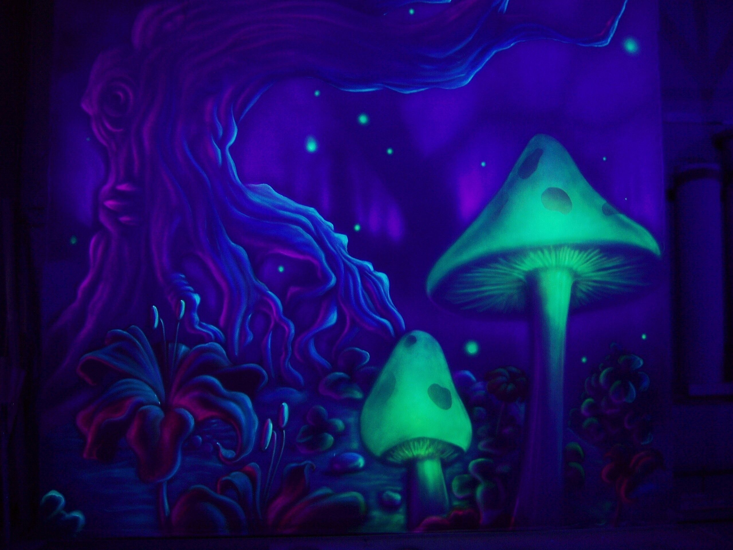 2560x1920 Magic Mushroom Wallpaper, Desktop