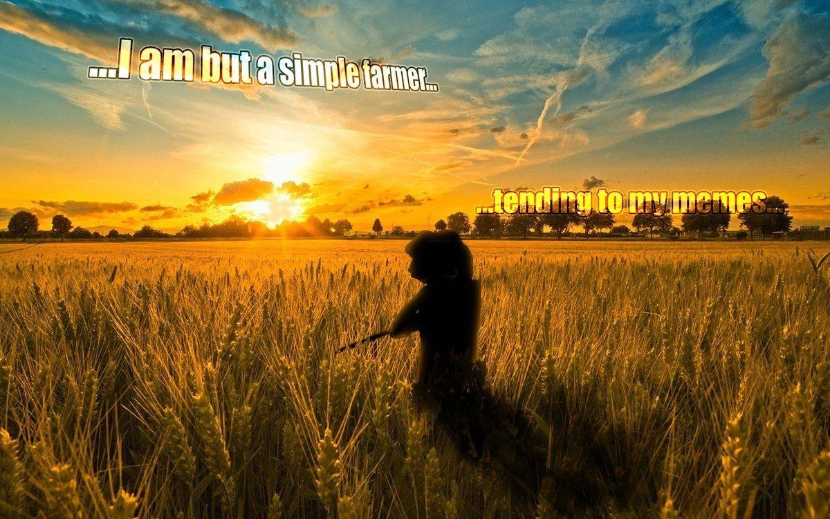 1200x750 modern meme farmer, Desktop