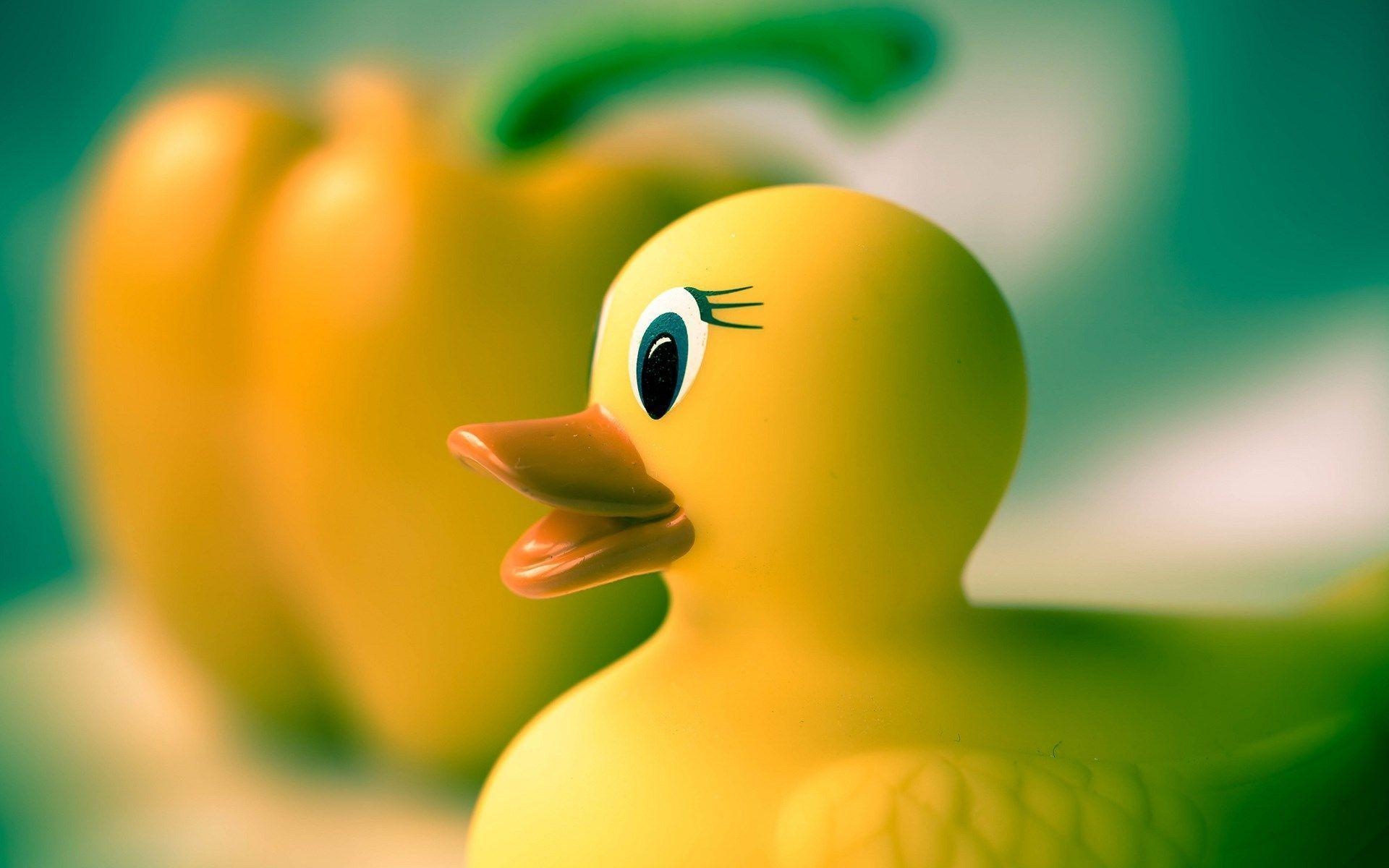 1920x1200 Wallpaper For > Colorful Rubber Duck Wallpaper, Desktop