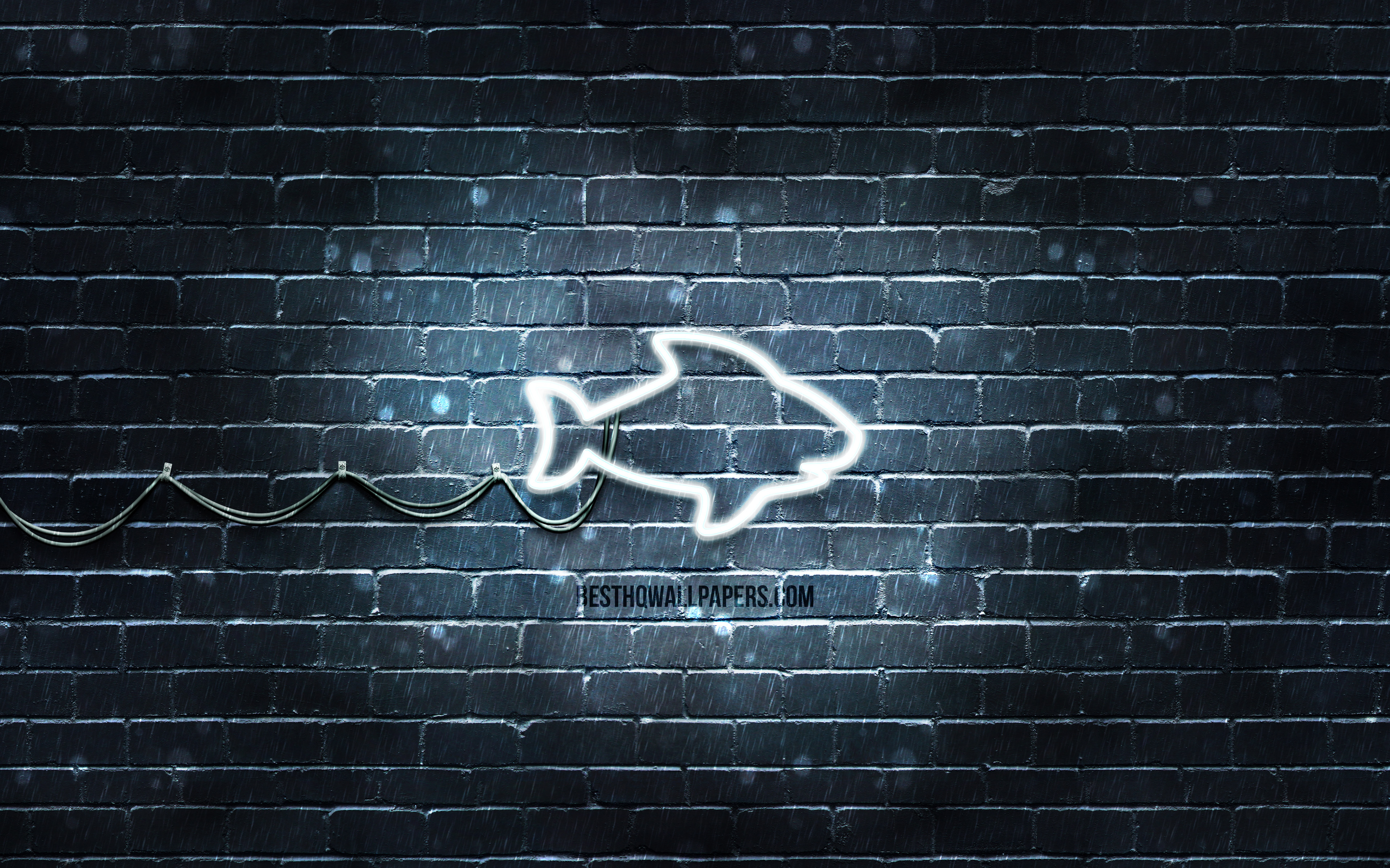 3840x2400 Download wallpaper White Shark neon icon, 4k, gray background, neon symbols, White Shark, creative, neon icons, White Shark sign, animals signs, White Shark icon, animals icons for desktop with resolution. High, Desktop