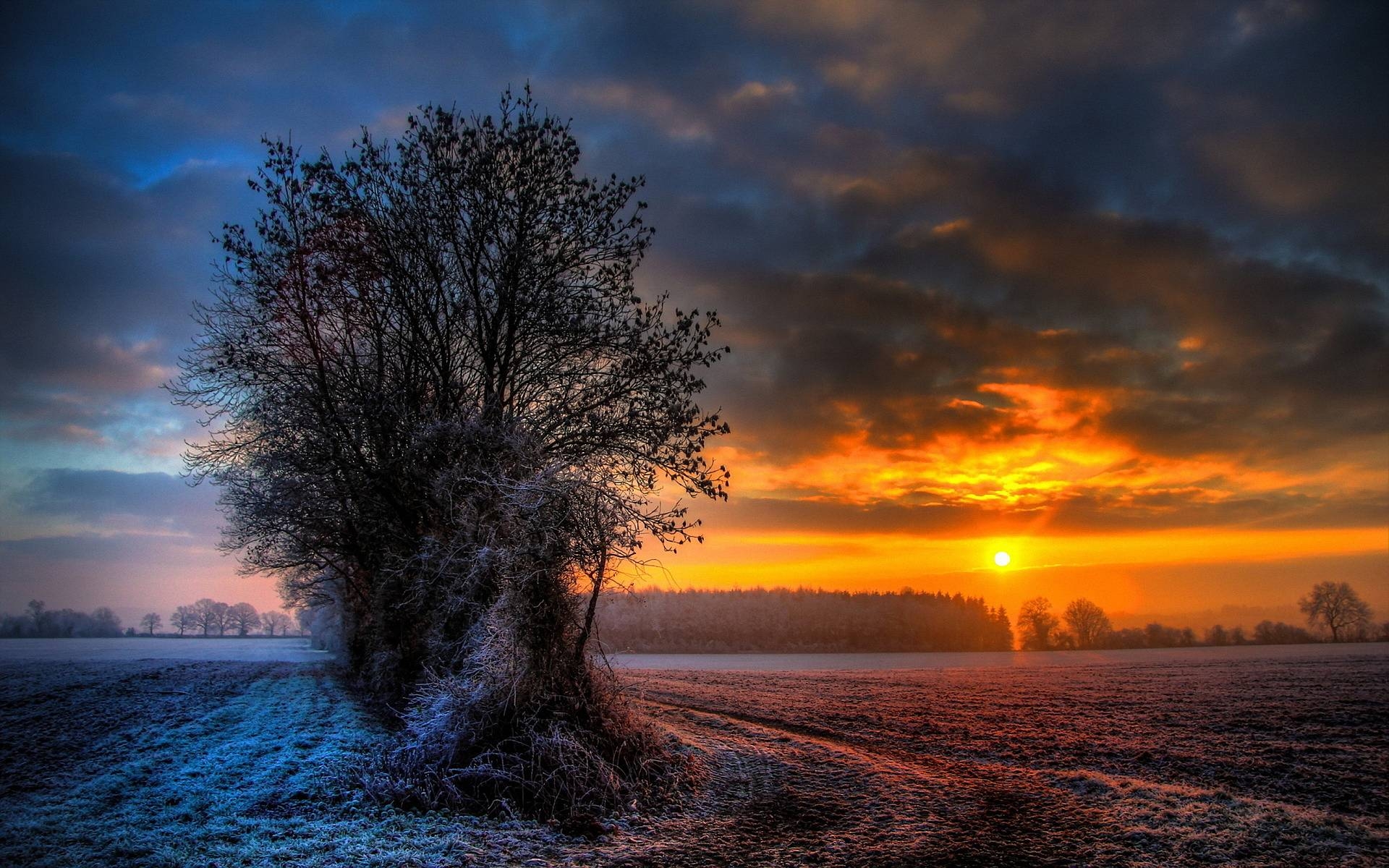 1920x1200 Winter sunset wallpaperx1200, Desktop